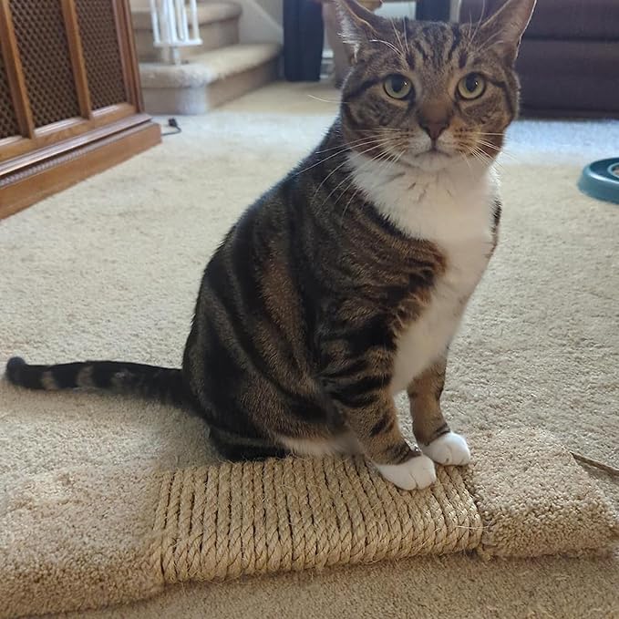 Sisal Rope for Cat Scratcher 1/4 inch by 33Ft Cat Tree Rope for Cat Scratching Post Tree Tower Replacement Repair and Replace, DIY Hemp Twine Rope