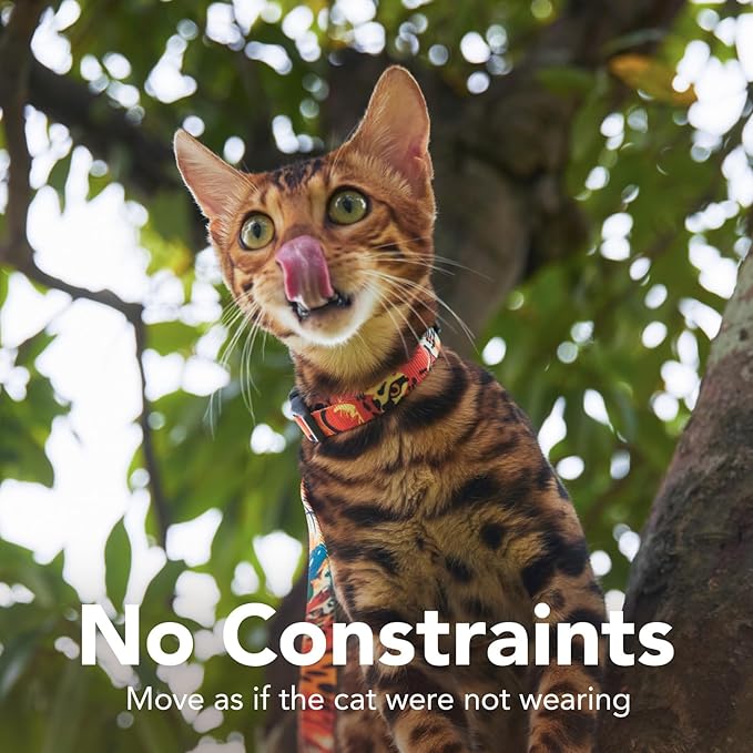 Cat Harness and Leash Set - Escape Proof Vest Harness for Cat, Comfortable Soft Lightweight, Easy Adjustable Cat Collar Harness for Small Medium Large Cats (King of The Jungle)
