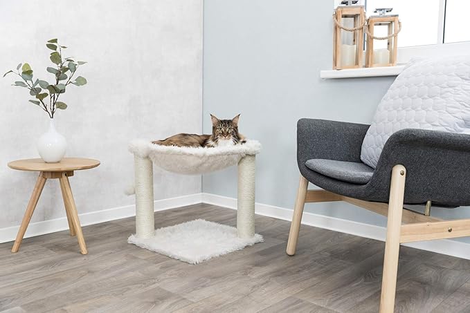 TRIXIE Baza Scratching Post with Hammock | 18" Base. Color: Cream
