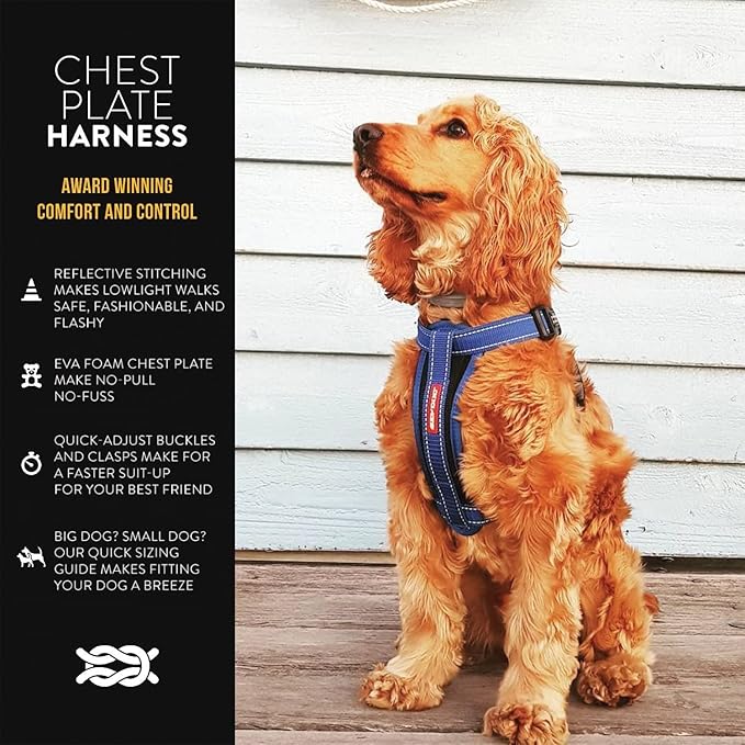 EzyDog Premium Chest Plate Custom Fit Reflective No-Pull Padded Comfort Dog Harness - Perfect for Training, Walking, and Control - Includes Car Restraint Attachment (Small, Blue)