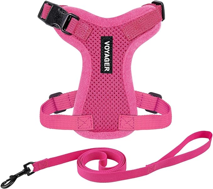 Voyager Step-in Lock Adjustable Cat Harness w. Cat Leash Combo Set with Neoprene Handle 5ft - Supports Small, Medium and Large Breed Cats by Best Pet Supplies - Fuchsia, XS