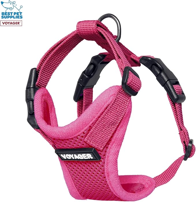 Voyager Step-in Lock Adjustable Cat Harness w. Cat Leash Combo Set with Neoprene Handle 5ft - Supports Small, Medium and Large Breed Cats by Best Pet Supplies - Fuchsia, XXS