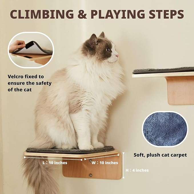 Cat Wall Shelf with Two Steps - Curved Cat Shelves and Perches for Wall (Large Size) - Wall Mounted Cat Furniture for Sleeping, Playing, Climbing, and Lounging