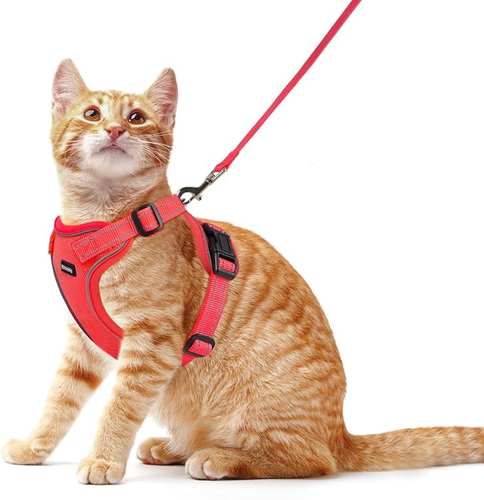 Rttochfy Cat Harness and Leash Set, Adjustable and Reflective Cat Vest, Escape Proof Kitten Harness, Easy to Put on with 3 Buckles for Cats Walking and Traveling (Red, S)