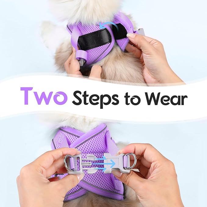 Dooradar Cat Harness and Leash Set, Escape Proof Lightweight Kitten Harness, Soft Breathable Reflective Vest for Outdoor Walking Traveling, Adjustable for Small Cats, Grey & Purple, S