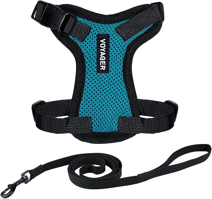 Voyager Step-in Lock Adjustable Cat Harness w. Cat Leash Combo Set with Neoprene Handle 5ft - Supports Small, Medium and Large Breed Cats by Best Pet Supplies - Turquoise/Black Trim, XXS