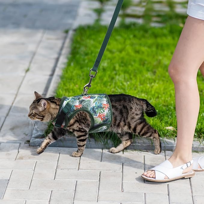 BINGPET Cat Harness and Leash Set Escape Proof for Walking,Step-in Harness with Lightweight Soft Breathable Mesh,Adjustable Easy Control Harness (Emerald Hues, L(Chest:12.5-16.5"))