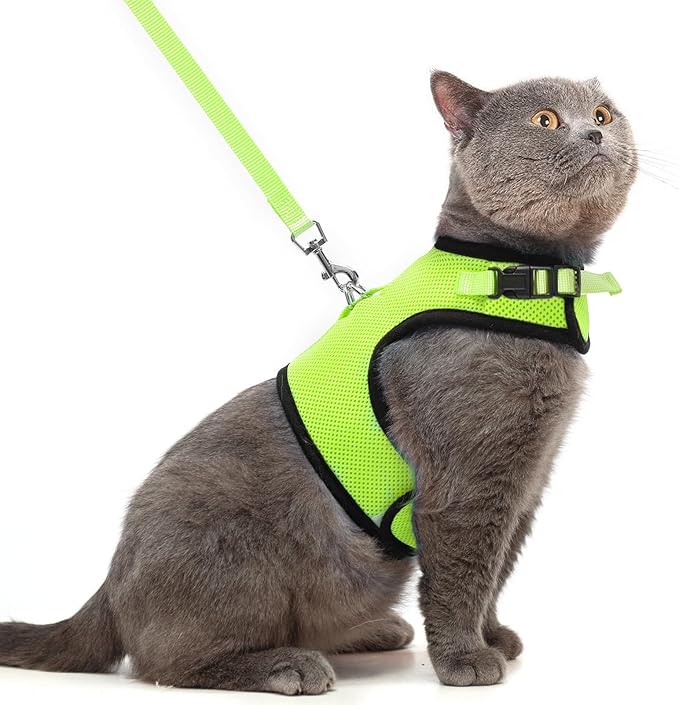 PUPTECK Soft Mesh Cat Vest Harness and Leash Set Puppy Padded Pet Harnesses Escape Proof for Cats Small Dogs Rabbits Bunny