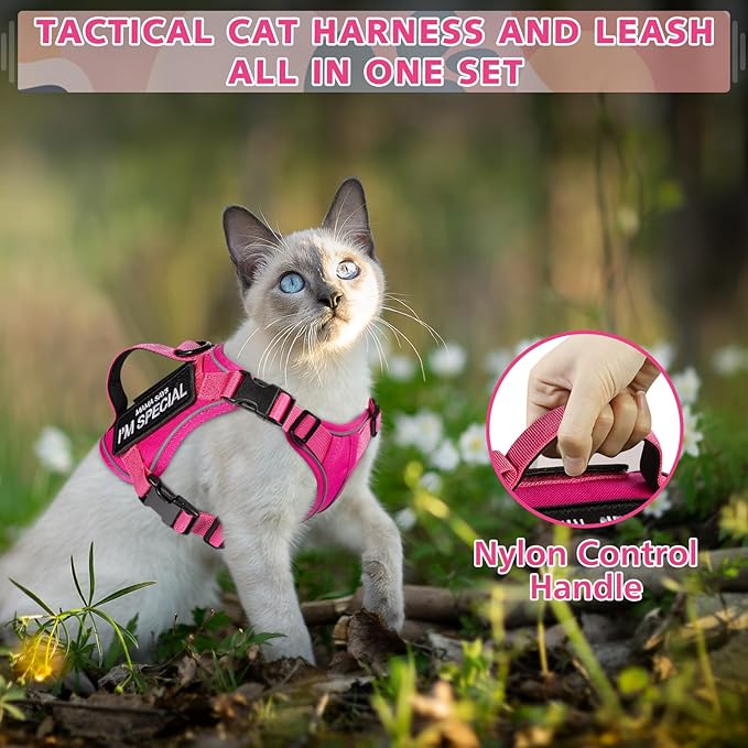Tactical Cat Harness and Leash, Escape Proof Large Cat Walking Vest,Adjustable Soft Mesh Pet Vest Harness with Control Handle, Molle Patches (777816858438, Large)