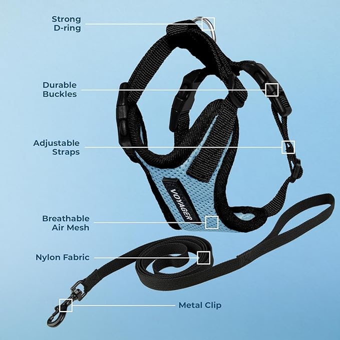 Voyager Step-in Lock Adjustable Cat Harness w. Cat Leash Combo Set with Neoprene Handle 5ft - Supports Small, Medium and Large Breed Cats by Best Pet Supplies - Baby Blue/Black Trim, S