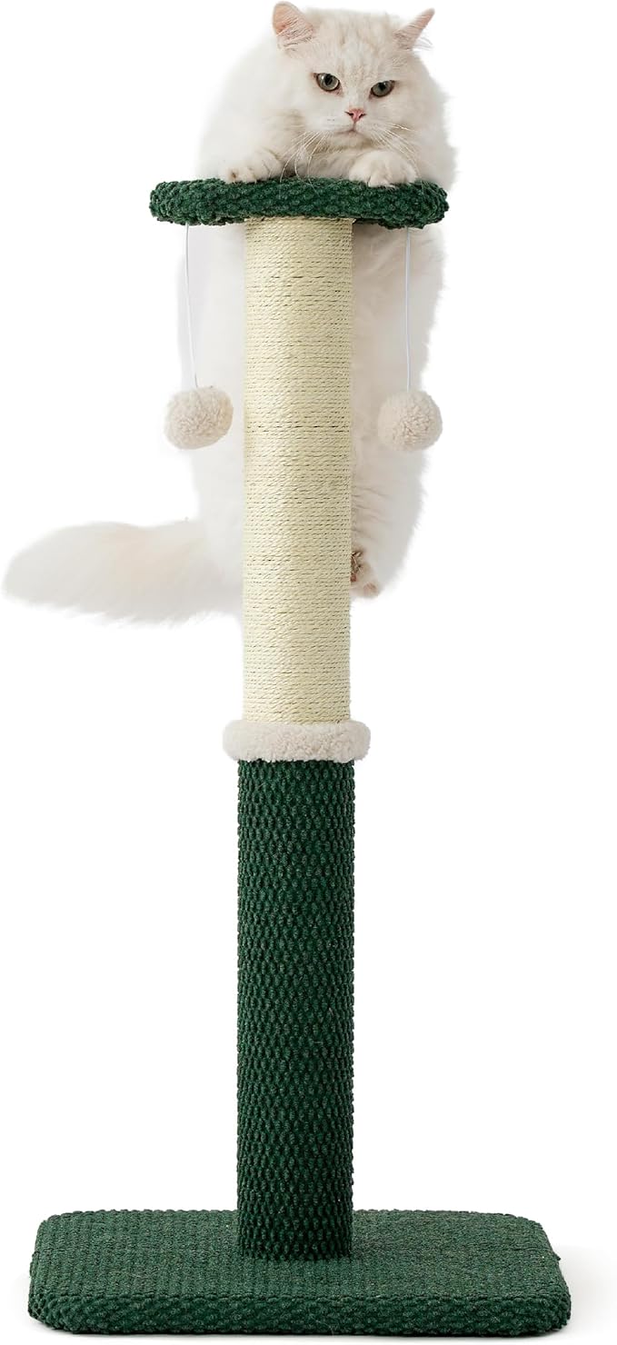 Lesure 34" Tall Cat Scratching Post - Highly Resistant Carpet Scratch Post, Premium Sisal Rope Scratch Posts Kitten and Adult Cats, Sturdy Large Scratch Pole with Hanging Ball, Green