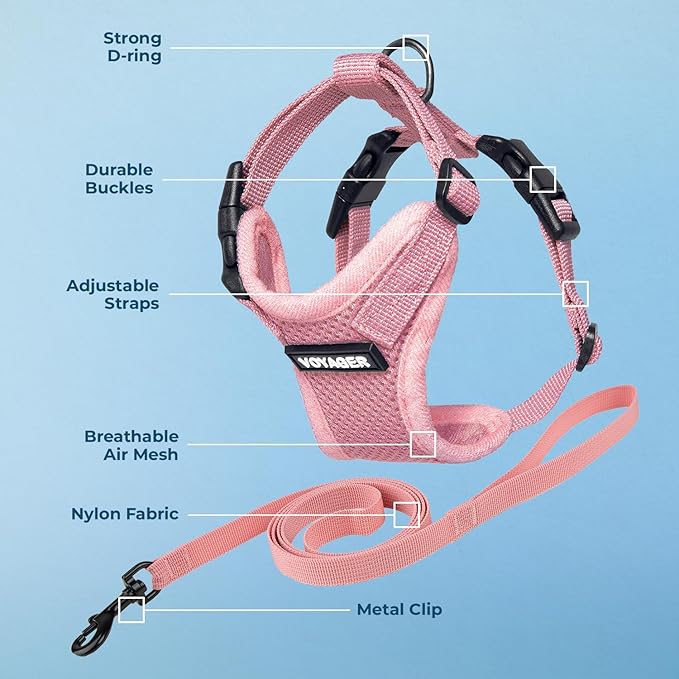 Voyager Step-in Lock Adjustable Cat Harness w. Cat Leash Combo Set with Neoprene Handle 5ft - Supports Small, Medium and Large Breed Cats by Best Pet Supplies - Pink, XXXS