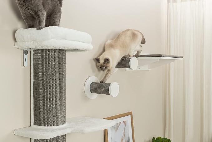 Wall Set 3, Indoor Wall Mounted Cat Climbing System, 3 Sisal Climbing Steps, Jumping Platform, Perches, Gray