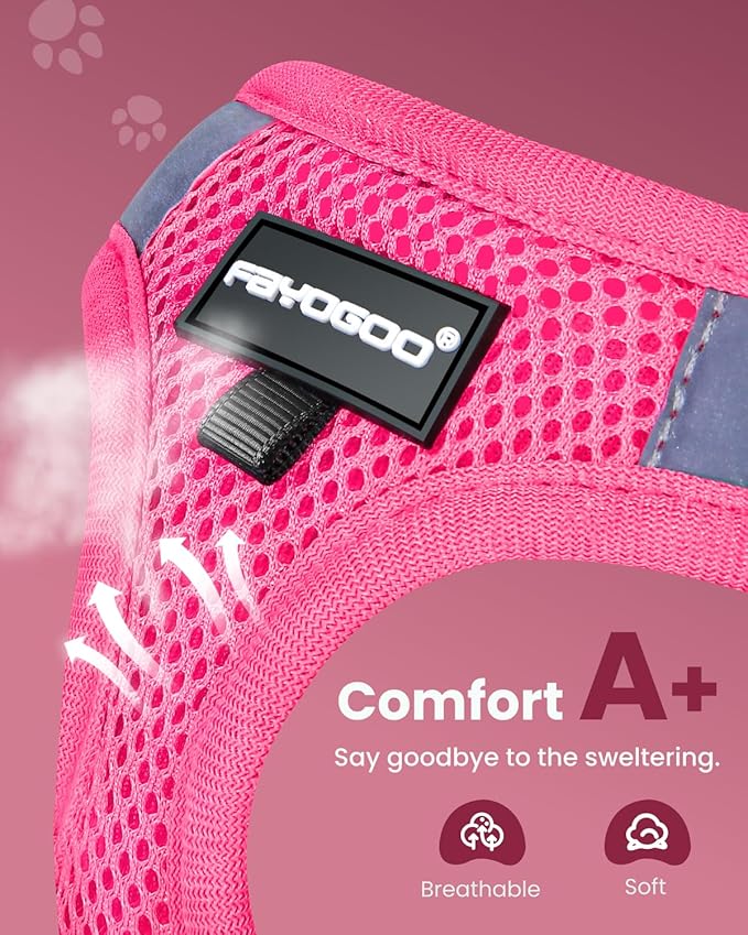 FAYOGOO Cat Harness and Leash Set for Walking Escape Proof, Kitten Harness and Leash Adjustable, Small Large Cat Walking Harness and Leash, Lightweight Soft Vest Harness and Leash(Medium, Pink)