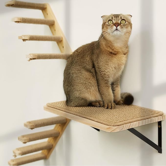 Cat Floating Wall Shelf with Cat Scratching Mat, 1PC 9.7X16.6 Inch Large 1 Inch Thick Wood Cat Window Perches Hanging Shelves Wall Mounted Beds for Sleeping, Playing, Climbing, Support to 30 LBS