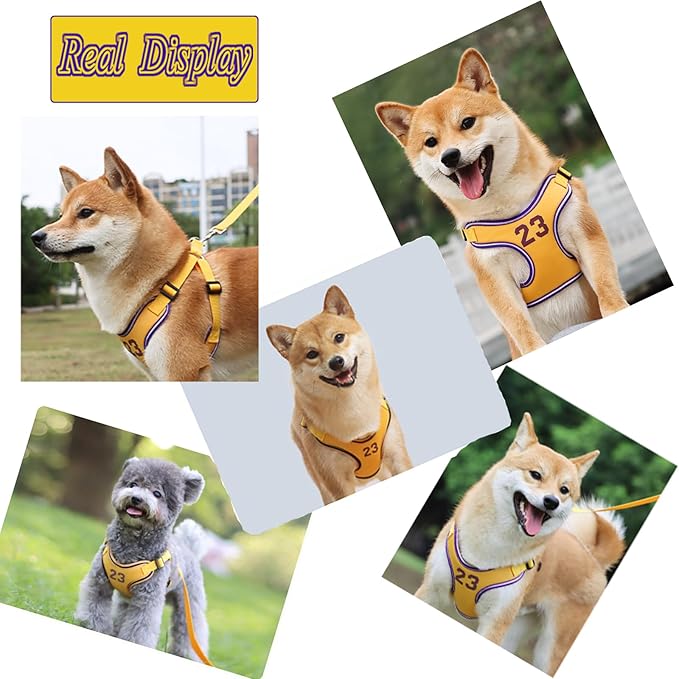 Dog Harness-Sporty Style Escape Proof Dog Harness -Adjustable Reflective Number Dogs Vest with Outdoor Pet Leash, Easy Control for Small,Medium Breeds (Yellow,S)