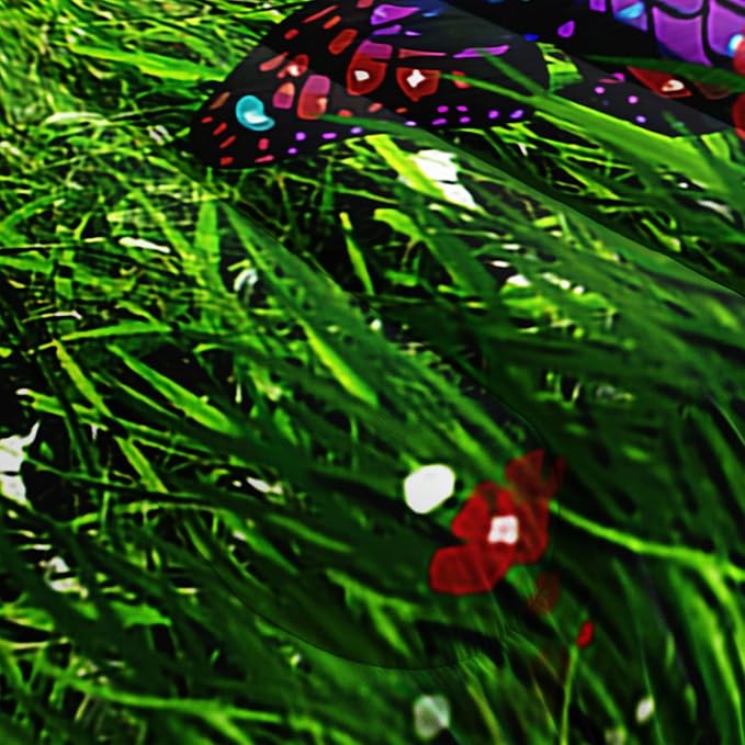 AILONEN Frog Comforter Set, Cartoon Frog Bedding Set Queen Size,Color Tie Dye Quilted Duvet for Teens Boys Kids Girls,Microfiber Fabric,1 Comforter 2 Pillowcases 3 Piece