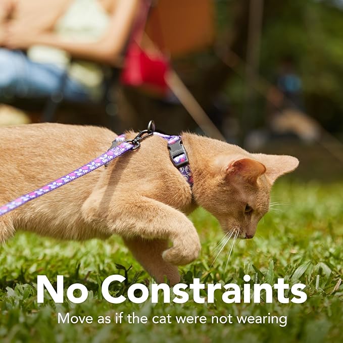 Cat Harness and Leash Set - Escape Proof Vest Harness for Cat, Comfortable Soft Lightweight, Easy Adjustable Cat Collar Harness for Small Medium Large Cats (Rabbit in Wonderland)