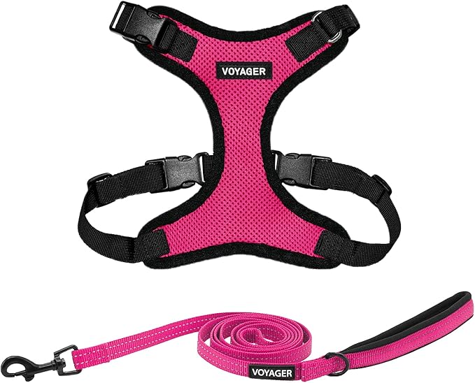 Voyager Step-in Lock Dog Harness w Reflective Dog Leash Combo Set with Neoprene Handle 5ft - Supports Small, Medium and Large Breed Puppies/Cats by Best Pet Supplies - Fuchsia/Black Trim, S