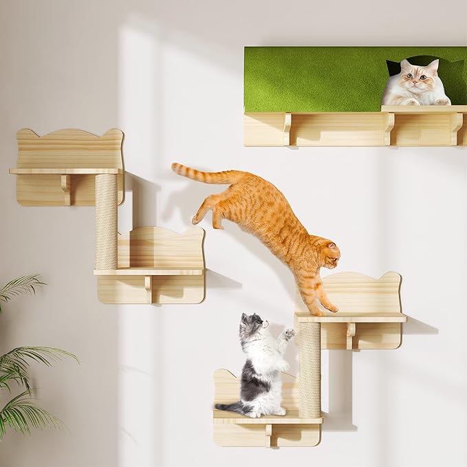 DWVO Solid Wood Cat Wall Shelves and Perches for Wall, Pine Wooden Wall Mounted Cat Furniture, Set of 7 Cat Climbing Shelves with Wall Steps, Scratching Post and Cat Tunnel