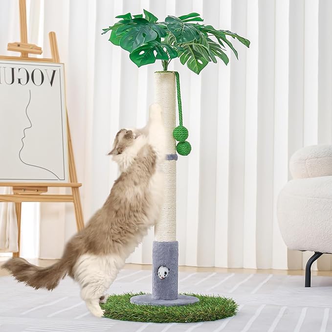 Cat Scratching Posts for All Cats with Hanging Ball and Sisal Rope Cat Toy, Simple Design - for Larger Cats - 35.43" Tall,Wooden Palm Tree Premium Basics Cat Toys Kitten（Grey
