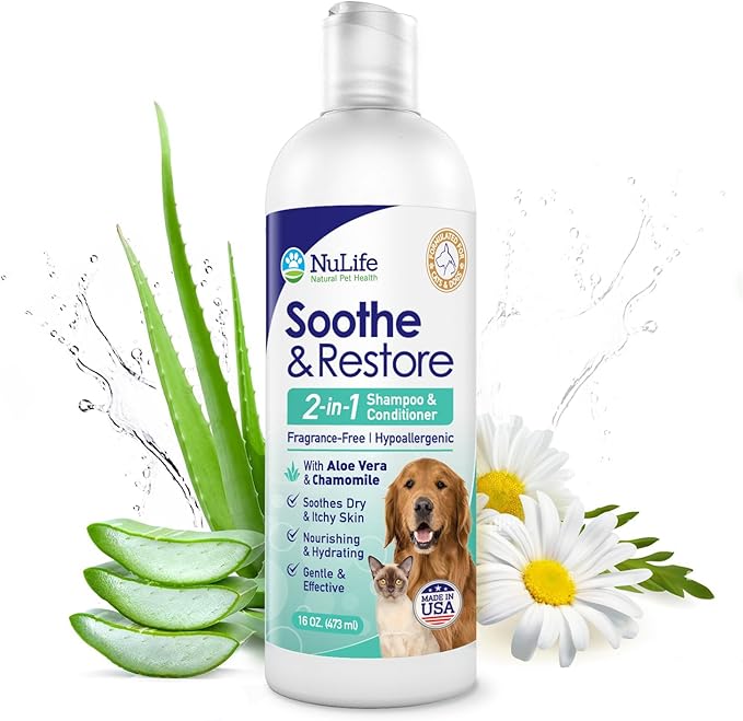 2-in-1 Dog Shampoo and Conditioner with Soothing Aloe Vera & Chamomile, Sensitive Skin, Fragrance-Free, Hypoallergenic Formula Provides Itchy Skin Relief from Dry Skin & Allergies - 16oz