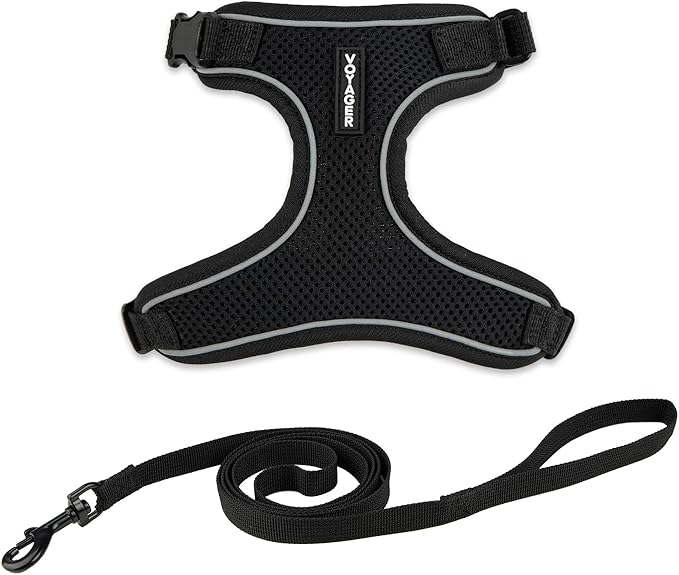 Voyager Escape Proof Cat Harness and Leash Set with Reflective Stitching, Neoprene Handle 5ft - Supports Small, Medium and Large Cats, Kittens for Walking by Best Pet Supplies - Black, XS