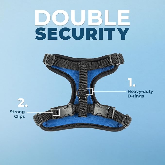 Voyager Escape Proof Cat Harness and Leash Set with Reflective Stitching, Neoprene Handle 5ft - Supports Small, Medium and Large Cats, Kittens for Walking by Best Pet Supplies - BT-Royal Blue, XS