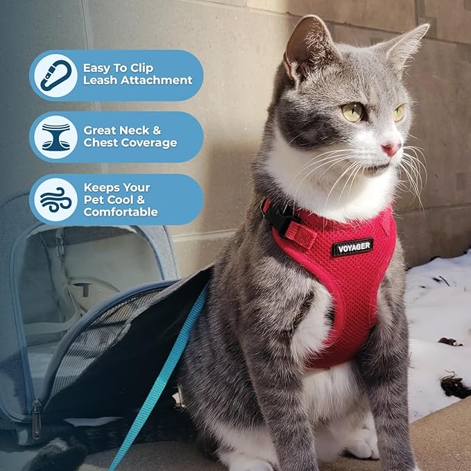 Voyager Step-in Lock Adjustable Cat Harness w. Cat Leash Combo Set with Neoprene Handle 5ft - Supports Small, Medium and Large Breed Cats by Best Pet Supplies - Red, XS