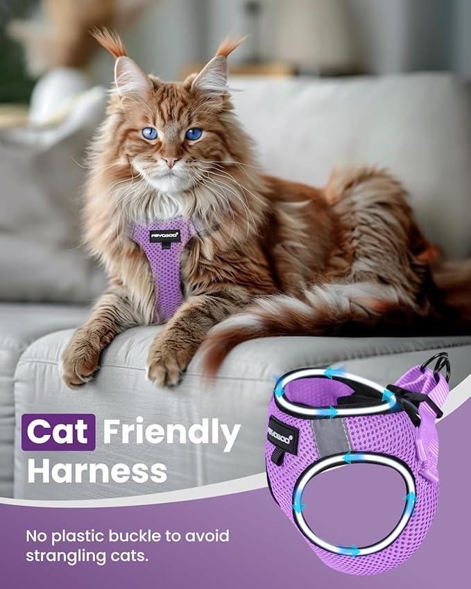 FAYOGOO Cat Harness, Cat Leash and Harness Set for Walking Escape Proof, Harness for Small Cats/Small Dogs, Large Kitten/Puppy Harness and Leash, Harness for Cats S-XXL(Modern Violet, Medium)