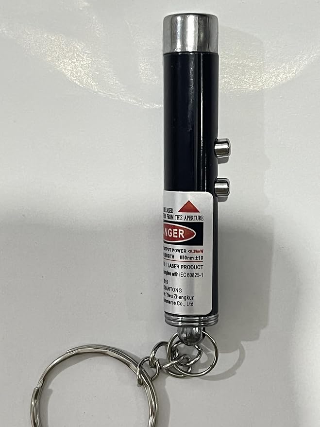 2-in-1 Cat Pet Toy Red LED Pointer Pen White Flashlight Torch Interactive Training Pen for Cat Dogs