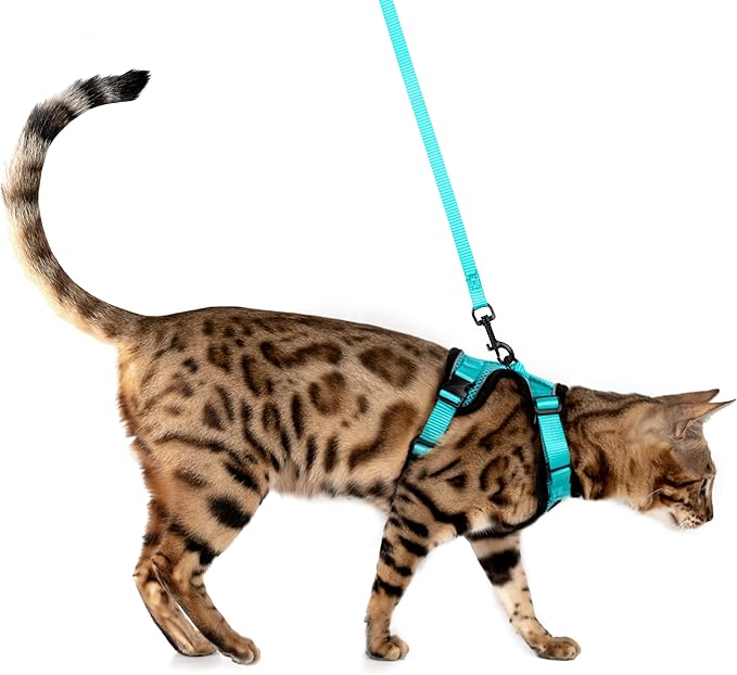 MeWO Cat Harness and Leash Set - Escape Proof, Reflective, Adjustable for a Safe & Snug Fit, Cat Walking Harness and Leash Cat Leash and Harness Set Cat Leashes and Harnesses for Walking Cat Harnesses