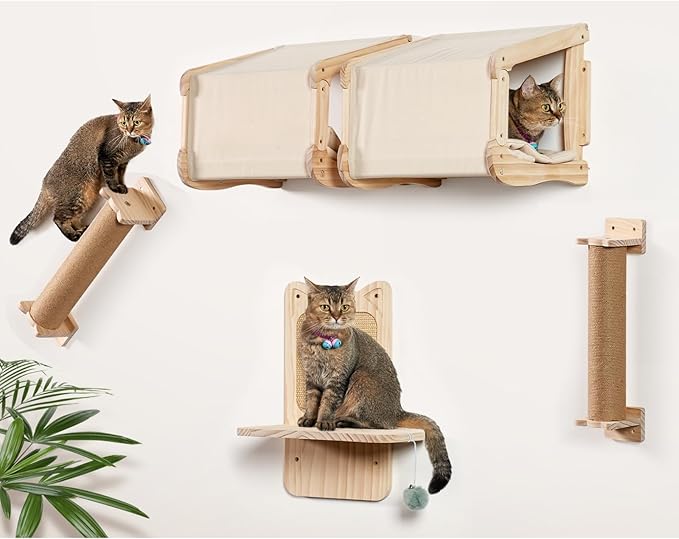 Cat Wall Shelves and Cat Wall Climber for Wall, Wooden Wall Mounted Cat Furniture, 5 Set ofCat Climbing Perches with Wall Steps, Scratching Posts, Scratching Perch, and Cat Tunnel