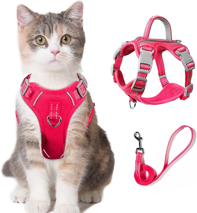 Cat Harness and Leash Set for Walking Escape Proof for Small Large cat Kitten Harness with ID tag Pocket (Pink,XXS)