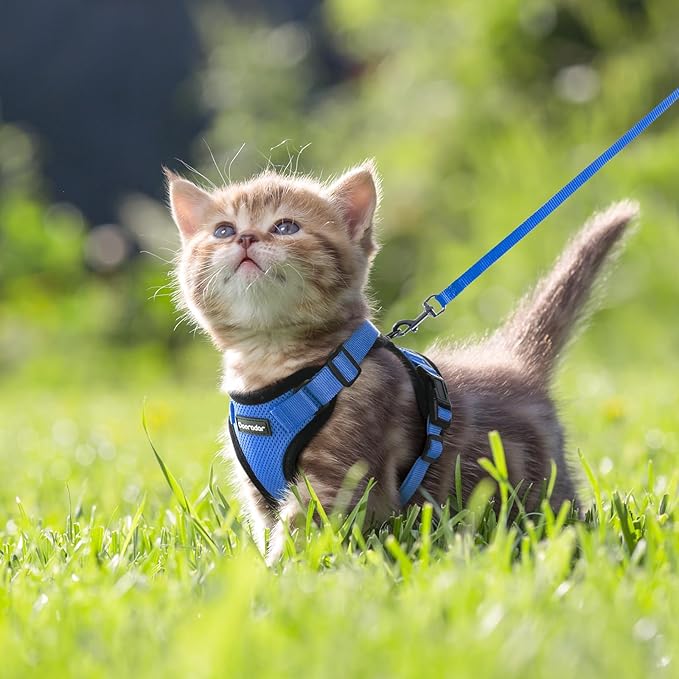 Dooradar Cat Harness and Leash Set, Escape Proof Safe Adjustable Kitten Vest Harnesses for Walking, Easy Control Soft Breathable Mesh Jacket with Reflective Strips for Cats, Blue, XXS