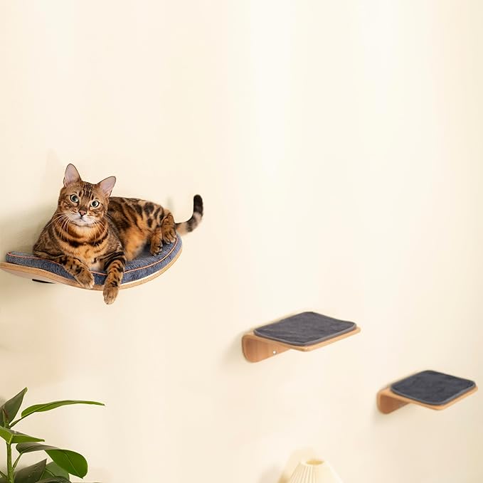 Cat Shelves, Cat Wall Steps and Perch, Cat nest, Wooden Floating Cat Climbing Furniture for Hopping and Sleeping, with Scratching Cushion（Combo）