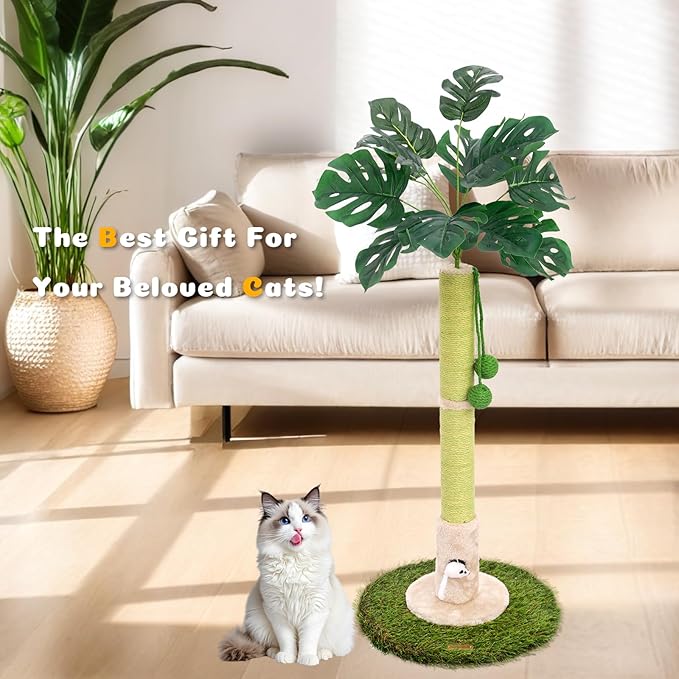 Cat Scratching Posts Cat Trees 35.43" Tall with Sisal Rope Cat Toy and Hanging Ball for Indoor,Wooden Palm Tree Cat Scratch Pole for All Cat (LightGreen)