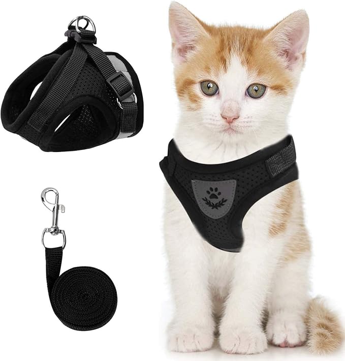 Cat Vest Harness and Small Dog Vest Harness for Walking, All Weather Mesh Harness, Cat Vest Harness with Reflective Strap, Step in Adjustable Harness for Small Cats (Black, XS)