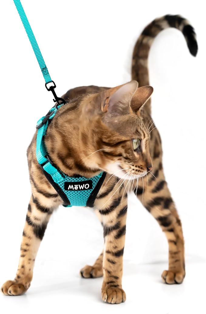 MeWO Cat Harness and Leash Set - Escape Proof, Reflective, Adjustable for a Safe & Snug Fit, Cat Walking Harness and Leash Cat Leash and Harness Set Cat Leashes and Harnesses for Walking Cat Harnesses