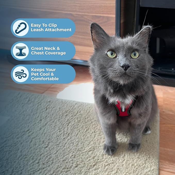 Voyager Step-in Lock Adjustable Cat Harness w. Cat Leash Combo Set with Neoprene Handle 5ft - Supports Small, Medium and Large Breed Cats by Best Pet Supplies - Red/Black Trim, XXXS