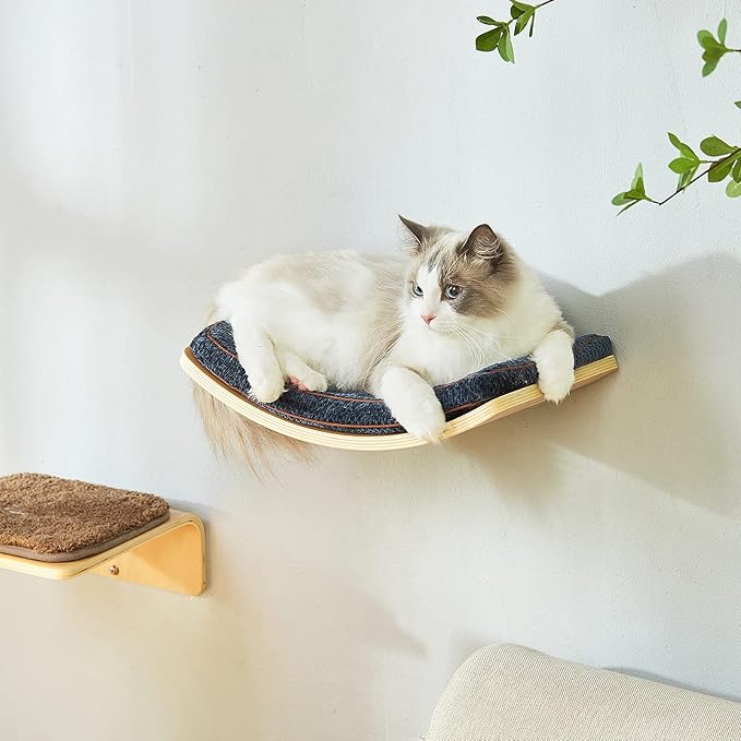 Cat Shelf with Comfortable Cat Cushion - Curved Cat Shelves and Perches for Wall (Medium Size) - Wall Mounted Cat Furniture for Sleeping, Playing, Climbing, and Lounging