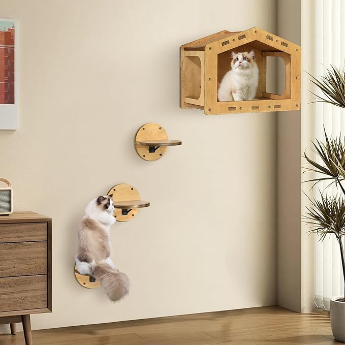 Cat Wall Shelves, Cat Shelves and Perches for Wall, Cat House Fit Cat Up to 25Lbs, 1 Cat Condo House and 3 Large Cat Steps with Scratching Pad, Cat Climbing Shelf for Indoor, Cat Wall Furniture