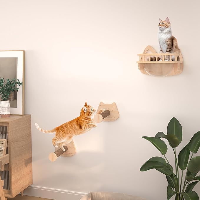 Transparent Capsule Cat Wall Furniture Set of 3, Cat Shelves with 2 Sisal Scratching Steps, Wall Mounted Cat Bed for Kitty or Cats up to 33 lbs