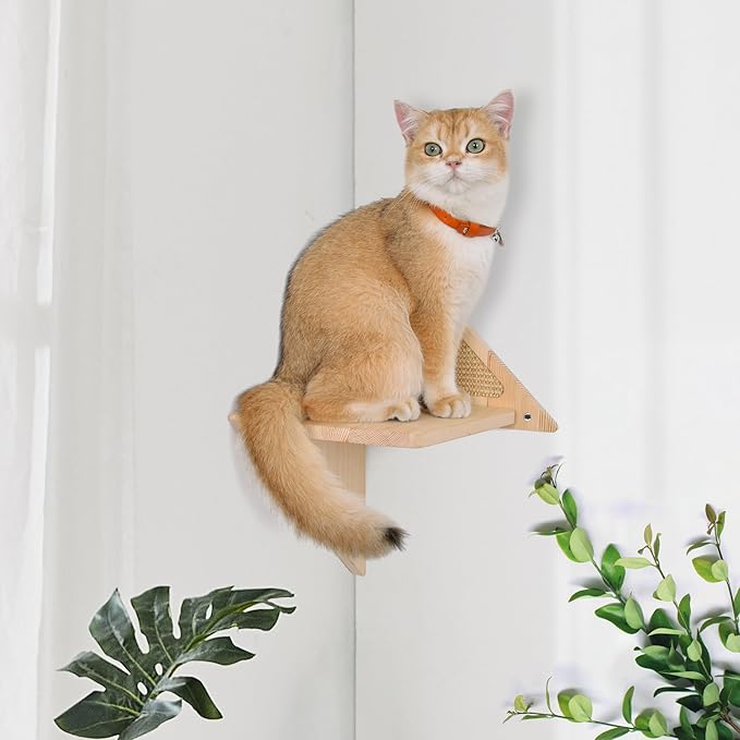 Cat Wall Shelves for The Corner, Wall Mounted Cat Shelves and Perches, Solid Wood Floating Cat Wall Steps Cat Wall Hammock Cat Wall Furniture for Sleeping, Playing, Climbing