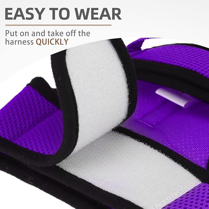 PUPTECK Soft Mesh Cat Vest Harness and Leash Set Puppy Padded Pet Harnesses Escape Proof for Cats Small Dogs, Purple Small