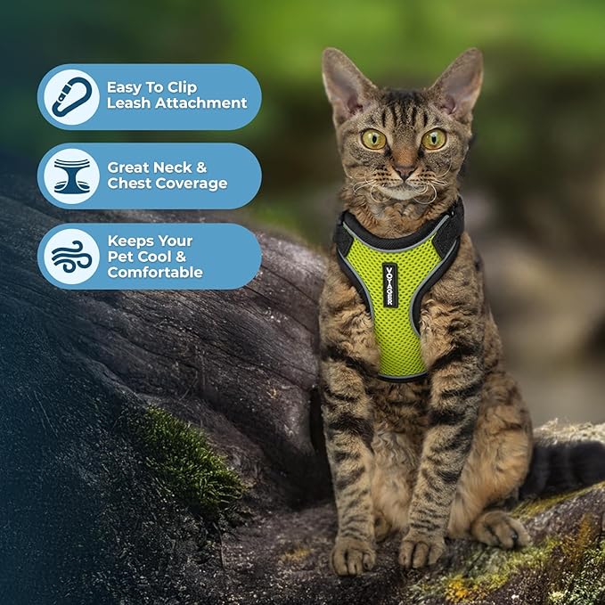 Voyager Escape Proof Cat Harness and Leash Set with Reflective Stitching, Neoprene Handle 5ft - Supports Small, Medium and Large Cats, Kittens for Walking by Best Pet Supplies - Black Trim-Lime, XXXS