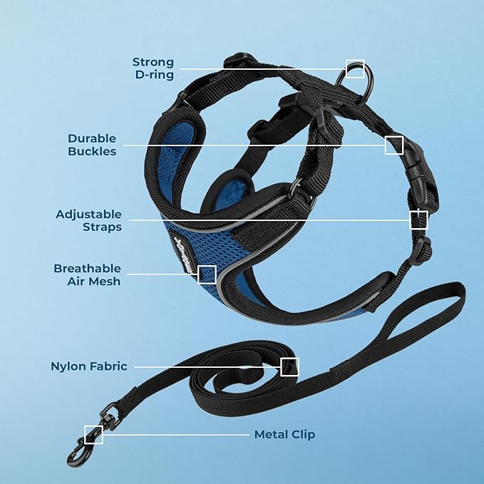 Voyager Escape Proof Cat Harness and Leash Set with Reflective Stitching, Neoprene Handle 5ft - Supports Small, Medium and Large Cats, Kittens for Walking by Best Pet Supplies - BT-Royal Blue, S