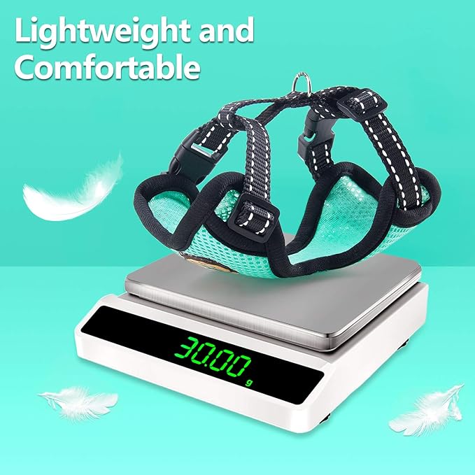 Reflective Kitten Harness and Leash Escape Proof with Car Seat Belt, Adjustable Cat Puppy Walking Jacket with Metal Leash Ring, Soft Breathable Small Pet Vest (S)