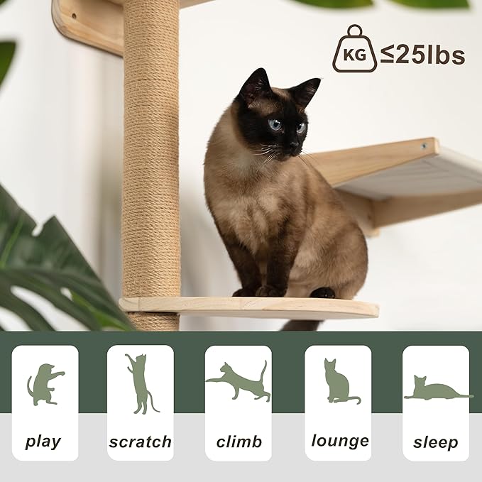 Cat Window Perch and Cat Wall Shelves 2 in 1,Cat Hammock,Steps and 3 Layers Large Cat Perch Bed for Wall and Window.Solid Wood Cat Wall Mounted Furniture &18 Pcs Strong Window Suction Cups