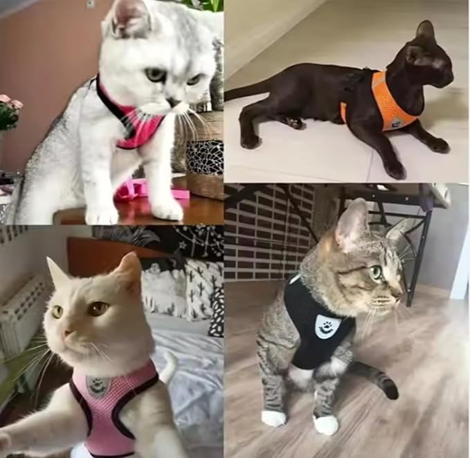 Step-in Dog, Cat, and Puppy Harness and Leash | All Weather Mesh | Reflective Harness & Leash for Small Dogs and Cats (Red, Large)